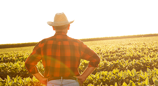 Farmer