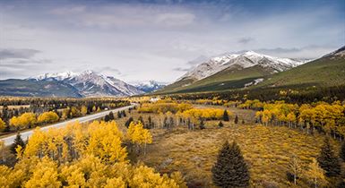 Adobestock 244280341 (1)